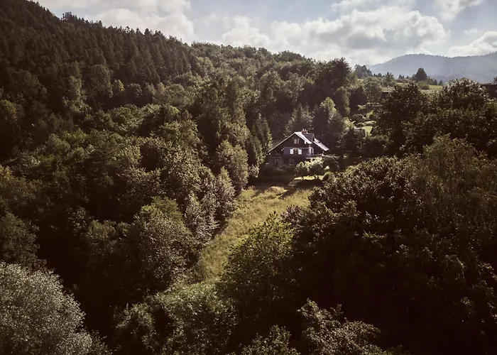 Villa Konkelowka- Beskidy, Z Ogrodem I Sauna, Gora Zar I Jezioro Miedzybrodzie Zywieckie